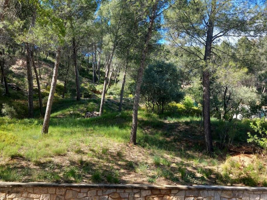 Studio Meyreuil-Terrasse-Au Calme En Campagne-Clim Экстерьер фото